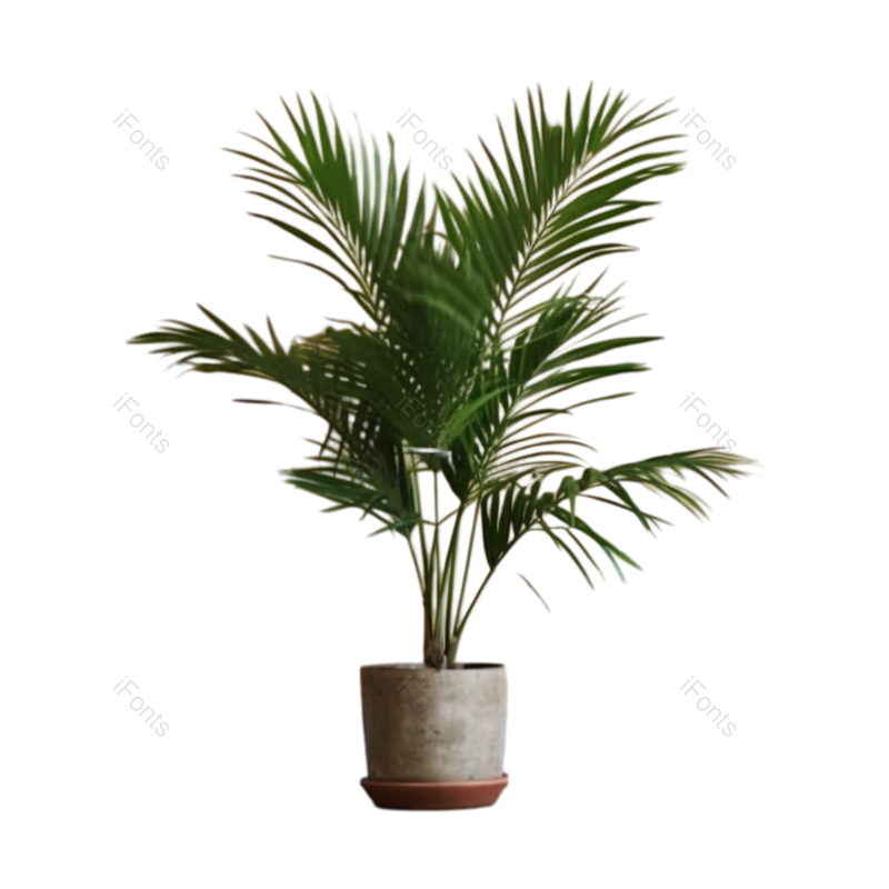 装饰图片,摄影元素,房屋PNG,植物免抠素材